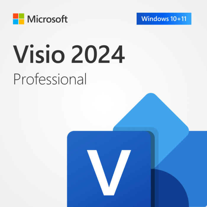 Visio 2024 Reinstalable