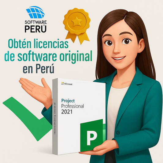Project 2021 Professional Plus: la herramienta esencial para gestionar proyectos como un profesional